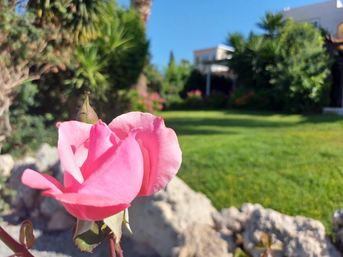Coral Bay Suite Cyprus エクステリア 写真